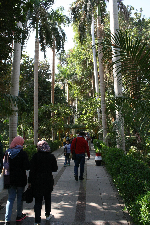 Gardens on Kitchener Island Aswan