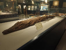 Luxor Mummification Museum, Temple of Sobek Kom Ombo